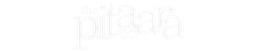 Partner 23